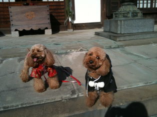 20110102ぷーぴ①.jpg