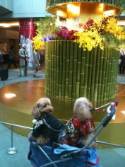 20110102六②.jpg