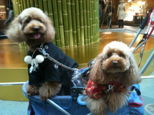 20110102六⑤.jpg
