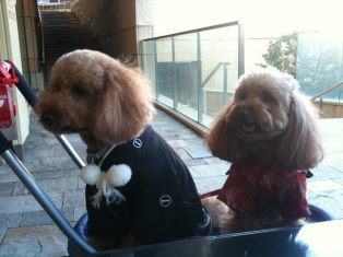 20110102六⑥.jpg