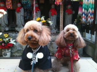 20110102大①.jpg