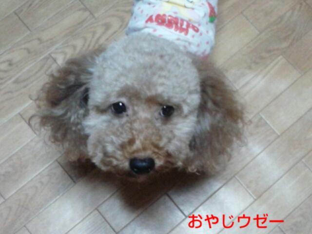 20121006_203021.jpg
