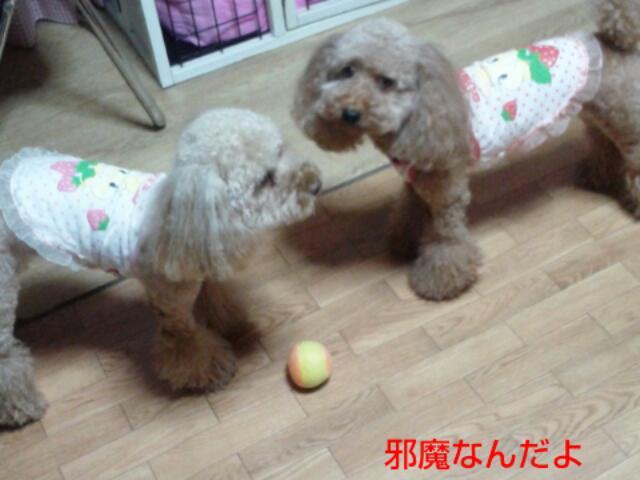 20121006_203433.jpg