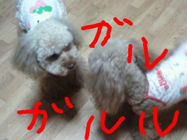20121006_205316.jpg