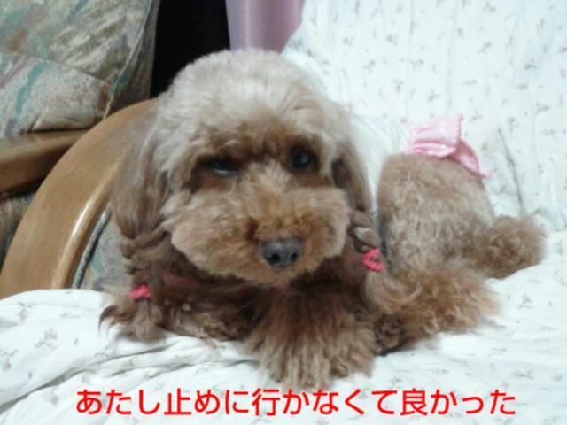 20121006_205551.jpg