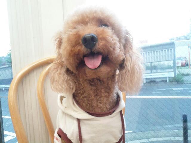20121006_205656.jpg