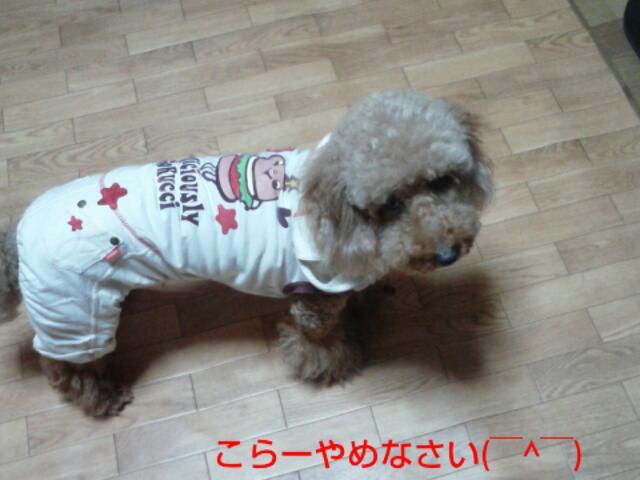 20121006_211715.jpg