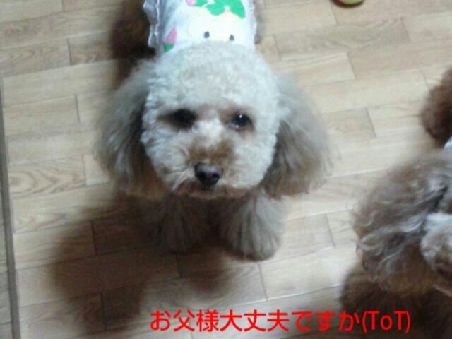 20121006_215442.jpg