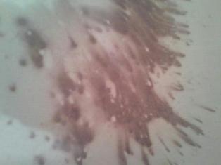 20121010_224008.jpg