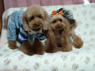 20121013_211737.jpg