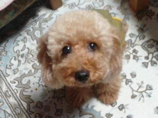 20121021_200500.jpg