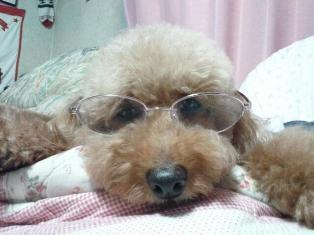 20121021_200533.jpg