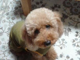 20121021_200630.jpg