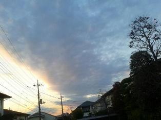 20121105_201300.jpg
