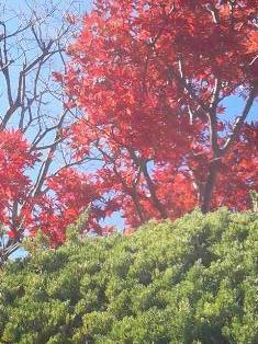 20121127_133042.jpg
