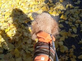 20121127_133151.jpg