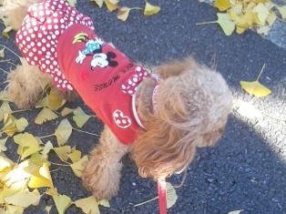 20121127_133217.jpg