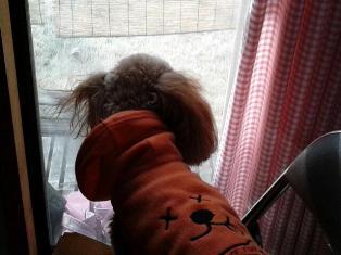 20121227_223729.jpg