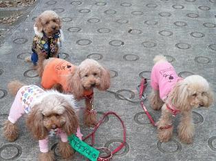 20130111_190443.jpg