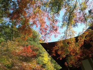 20131119_104037.jpg