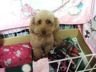 DSCF1603.JPG