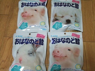 DSCF2088.JPG