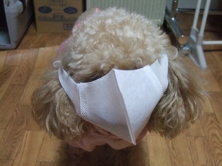 DSCF2092.JPG
