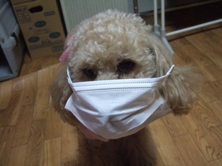 DSCF2093.JPG