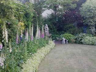 DSC_1855.JPG