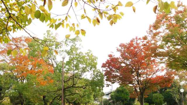IMG_20141104_203108.jpg