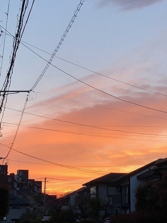 IMG_3100.jpg